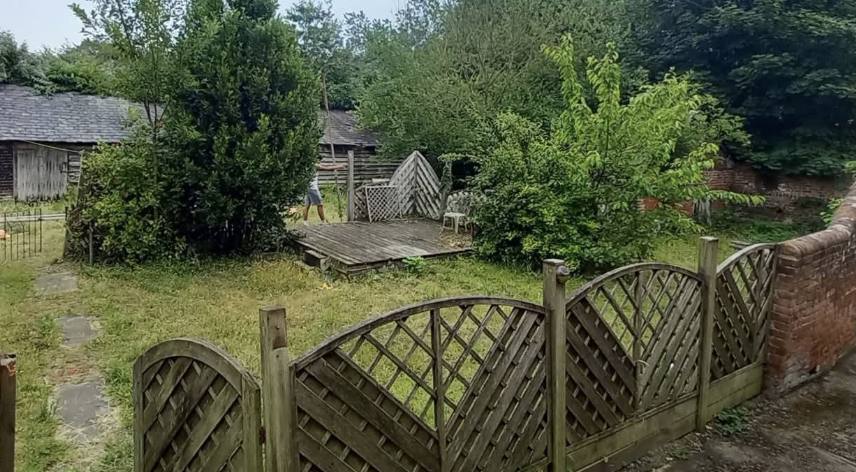 Overgrown garden before clearance, Kent