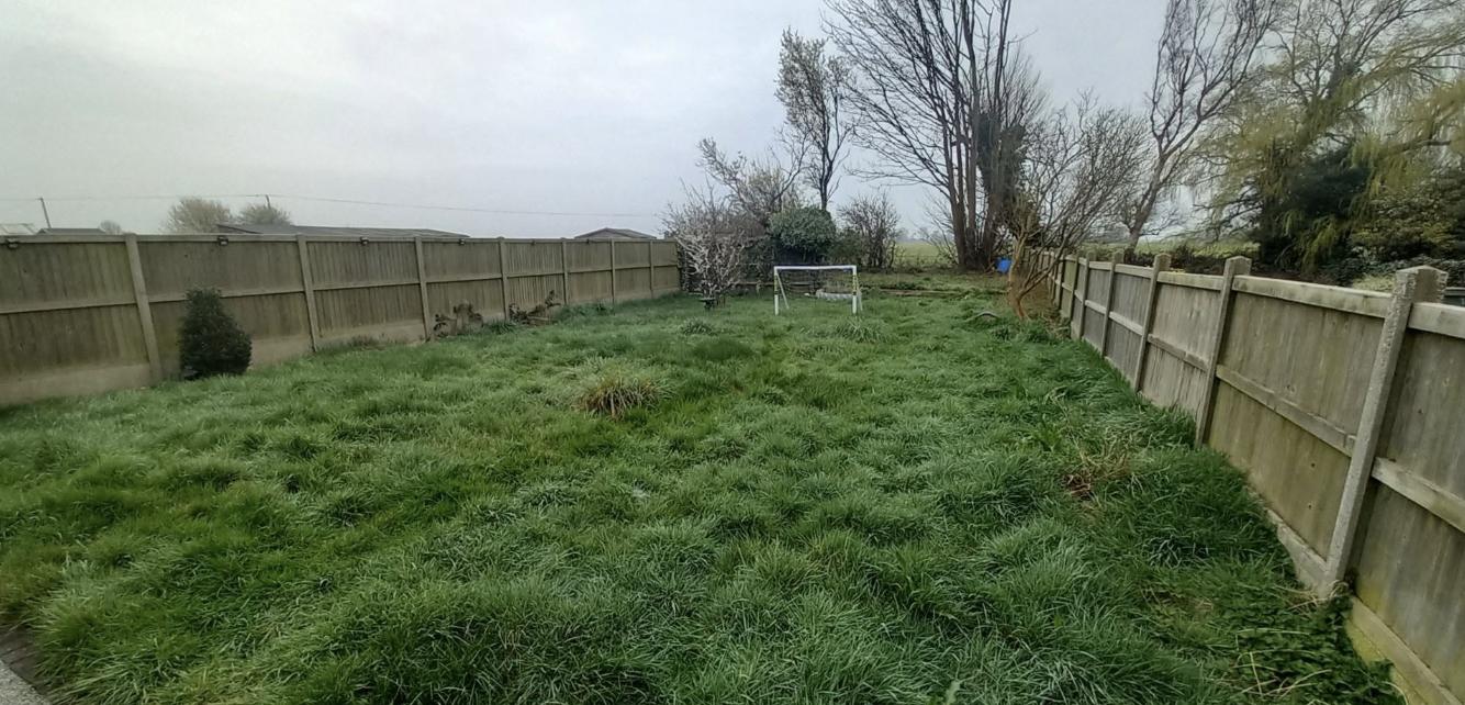 Overgrown shaggy lawn before a full cut and tidy